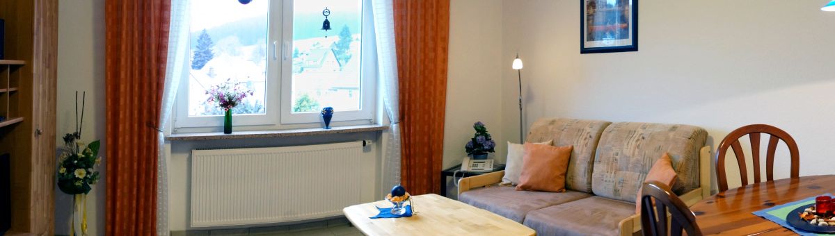 Ferienwohung in Carlsfeld im Erzgebirge - Wohnzimmeransicht